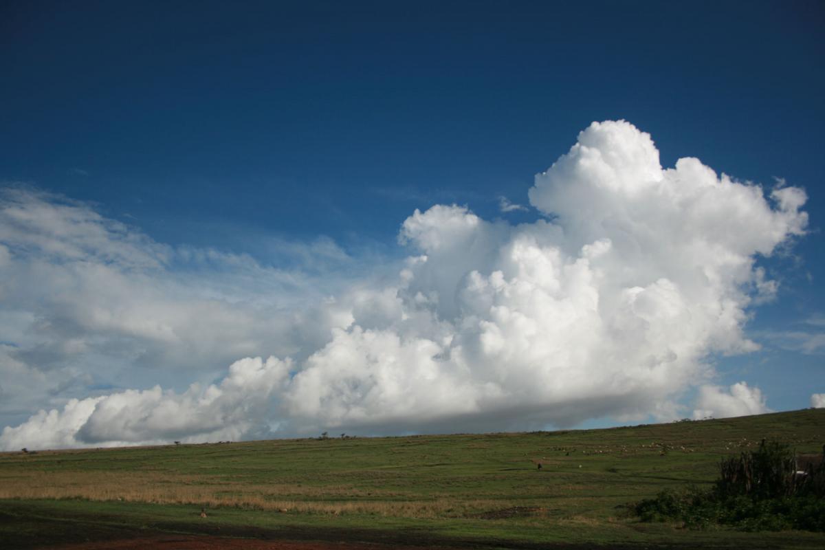 Serengeti -CF-1-Arusha-web   